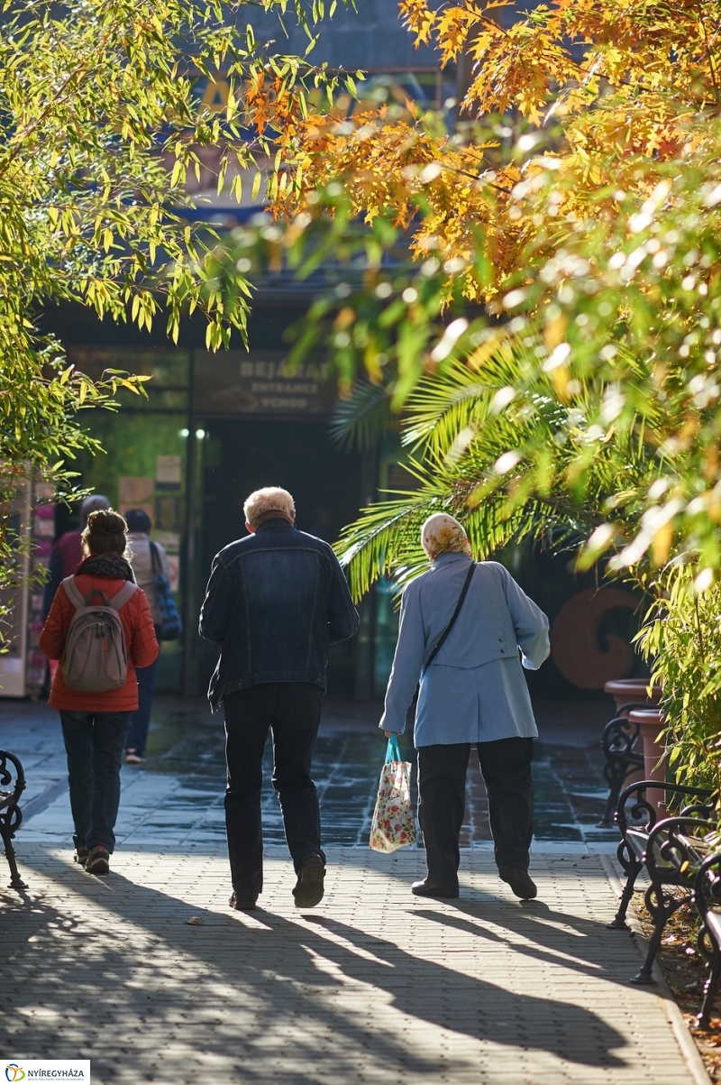 Ingyenes belépő nyugdíjasoknak - fotó Szarka Lajos