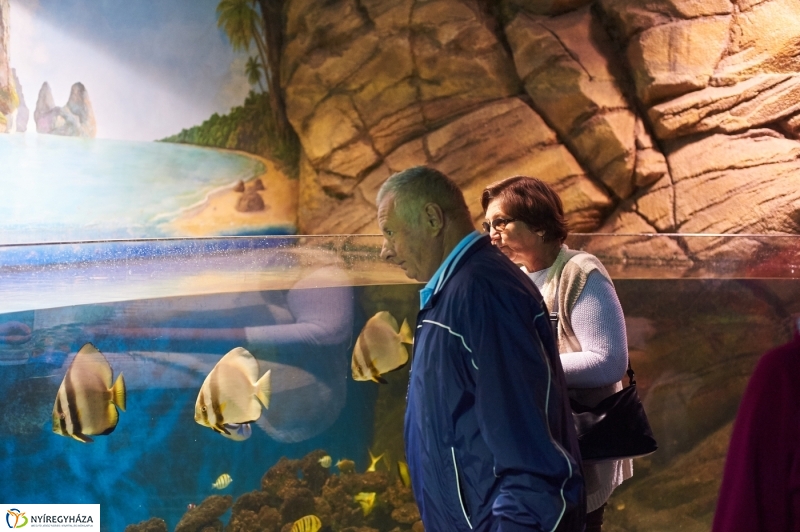 Ingyenes belépő nyugdíjasoknak - fotó Szarka Lajos