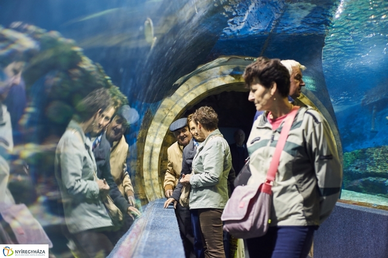 Ingyenes belépő nyugdíjasoknak - fotó Szarka Lajos