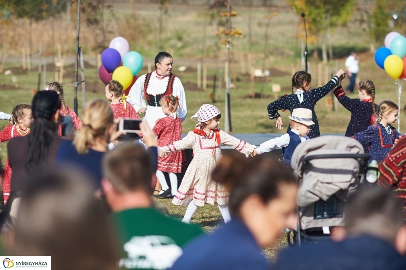 Faültetés a ligetben - fotó Szarka Lajos