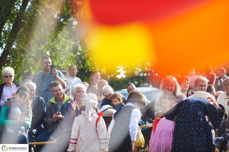 Faültetés a ligetben - fotó Szarka Lajos