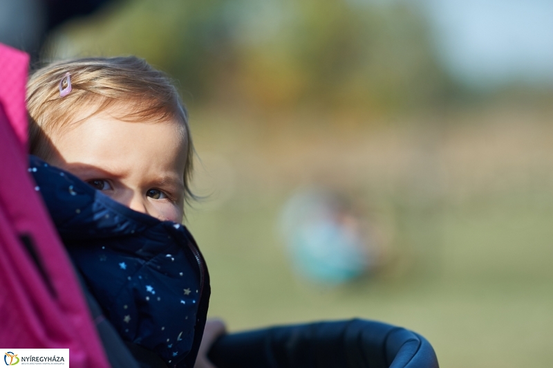 Faültetés a ligetben - fotó Szarka Lajos