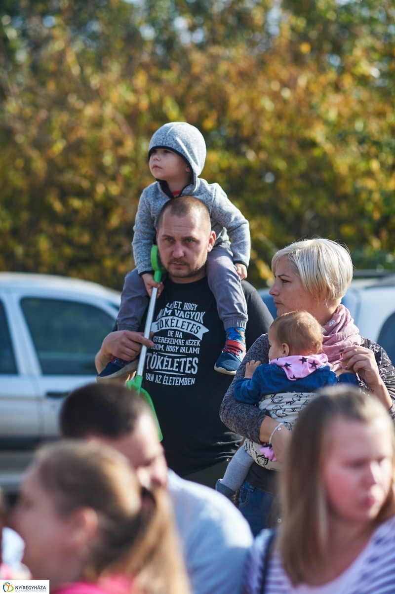 Faültetés a ligetben - fotó Szarka Lajos