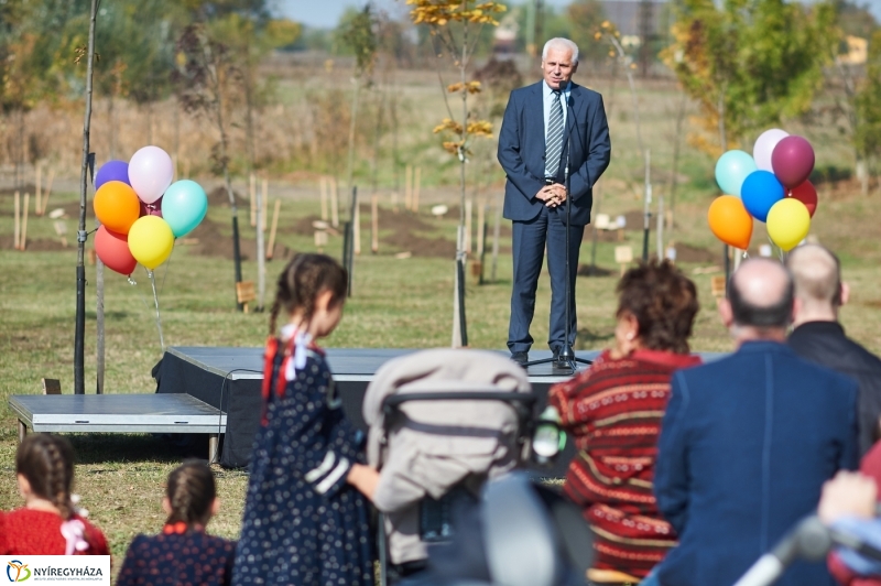 Faültetés a ligetben - fotó Szarka Lajos