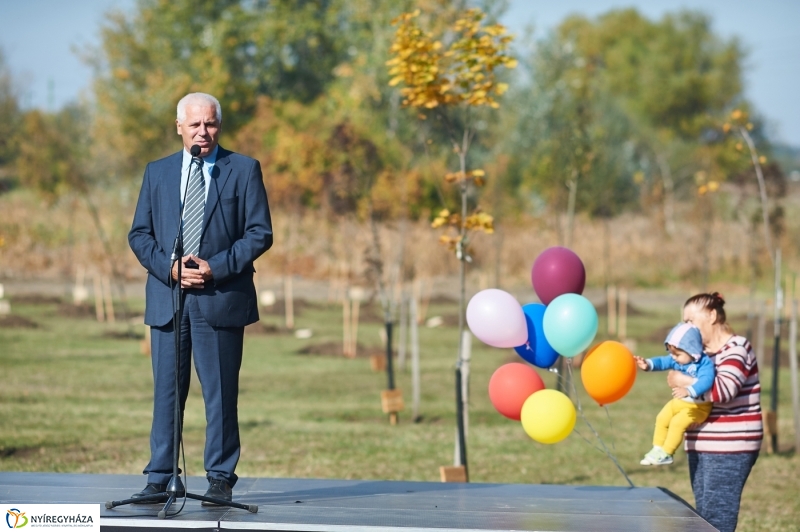 Faültetés a ligetben - fotó Szarka Lajos