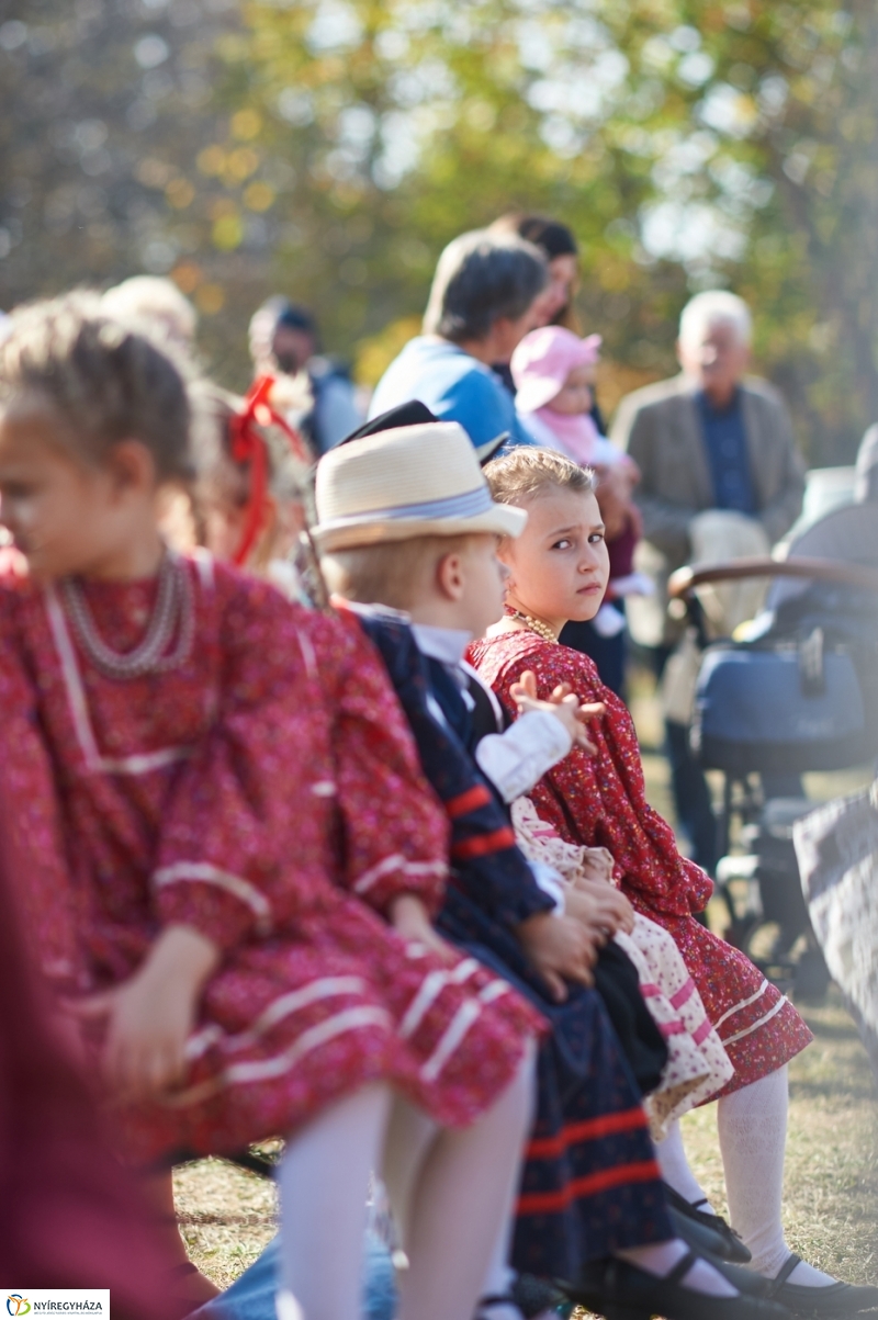 Faültetés a ligetben - fotó Szarka Lajos