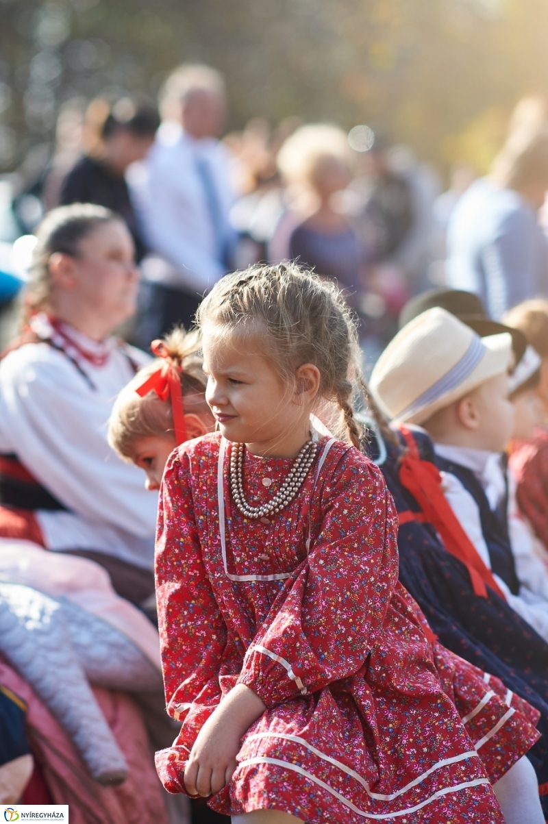 Faültetés a ligetben - fotó Szarka Lajos