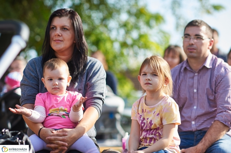 Faültetés a ligetben - fotó Szarka Lajos