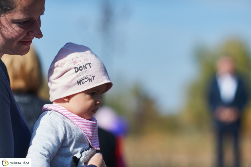 Faültetés a ligetben - fotó Szarka Lajos