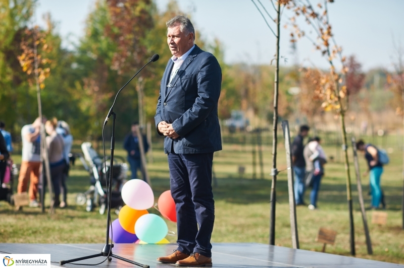 Faültetés a ligetben - fotó Szarka Lajos