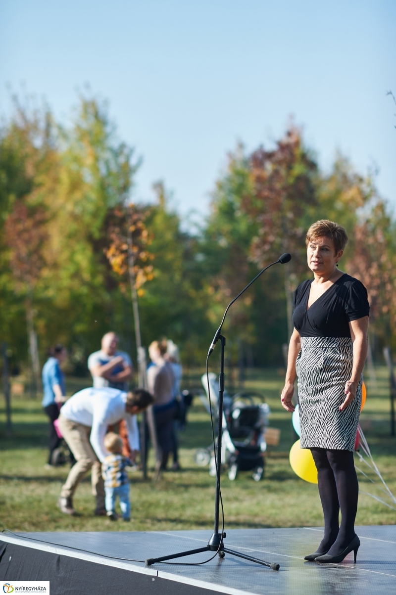 Faültetés a ligetben - fotó Szarka Lajos