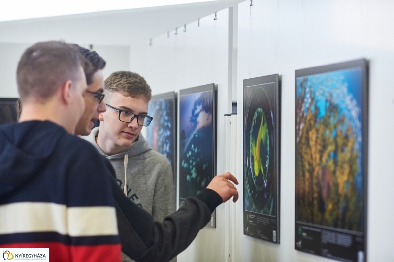 Az év természetfotói Nyíregyházán 2018 - fotó Szarka Lajos