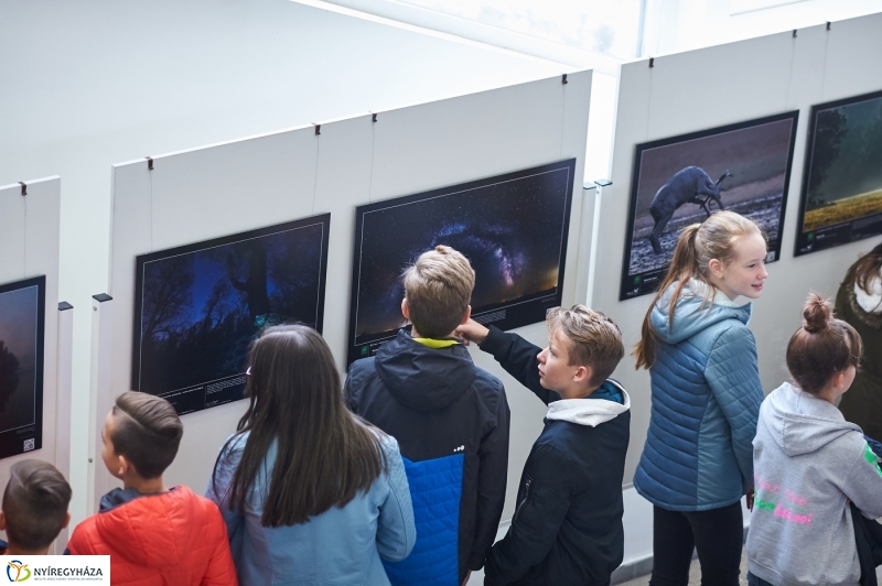 Az év természetfotói Nyíregyházán 2018 - fotó Szarka Lajos