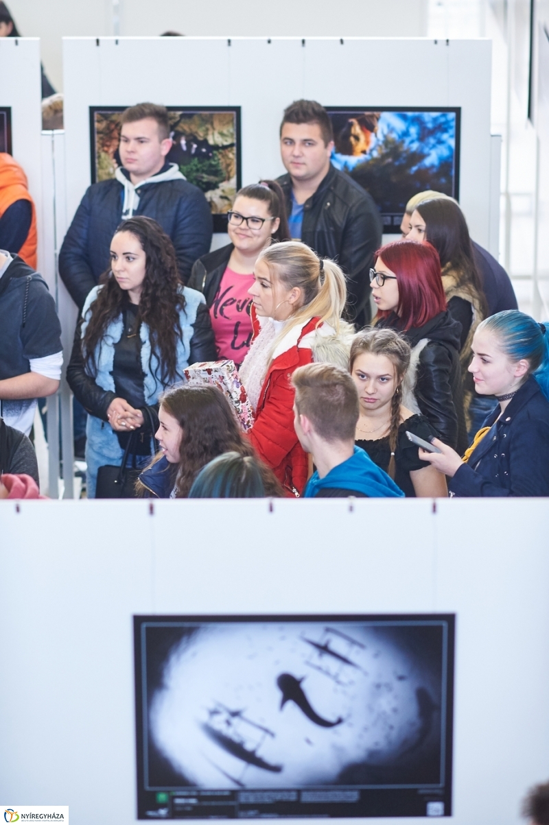 Az év természetfotói Nyíregyházán 2018 - fotó Szarka Lajos