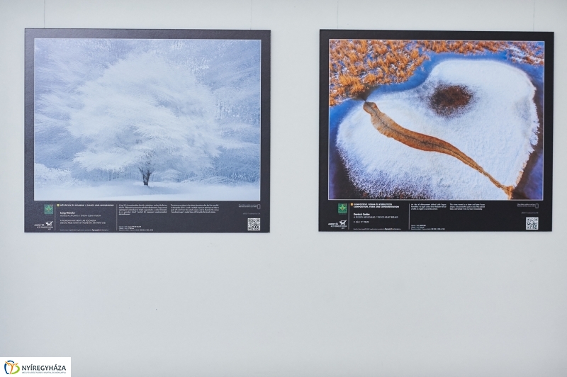 Az év természetfotói Nyíregyházán 2018 - fotó Szarka Lajos