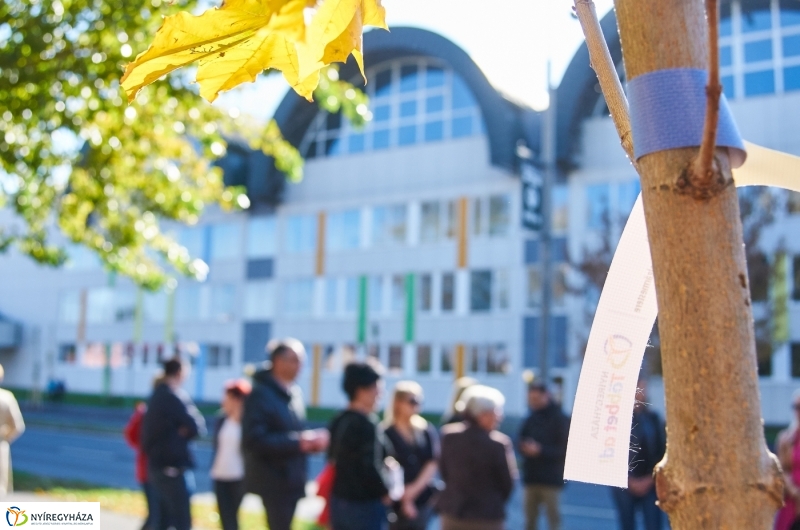 Fásítási program Nyíregyházán - fotó Szarka Lajos