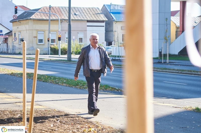 Fásítási program Nyíregyházán - fotó Szarka Lajos