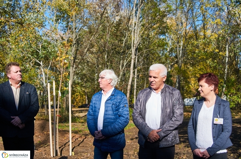 Fásítási program Nyíregyházán - fotó Szarka Lajos