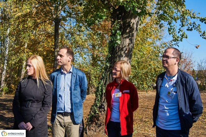 Fásítási program Nyíregyházán - fotó Szarka Lajos