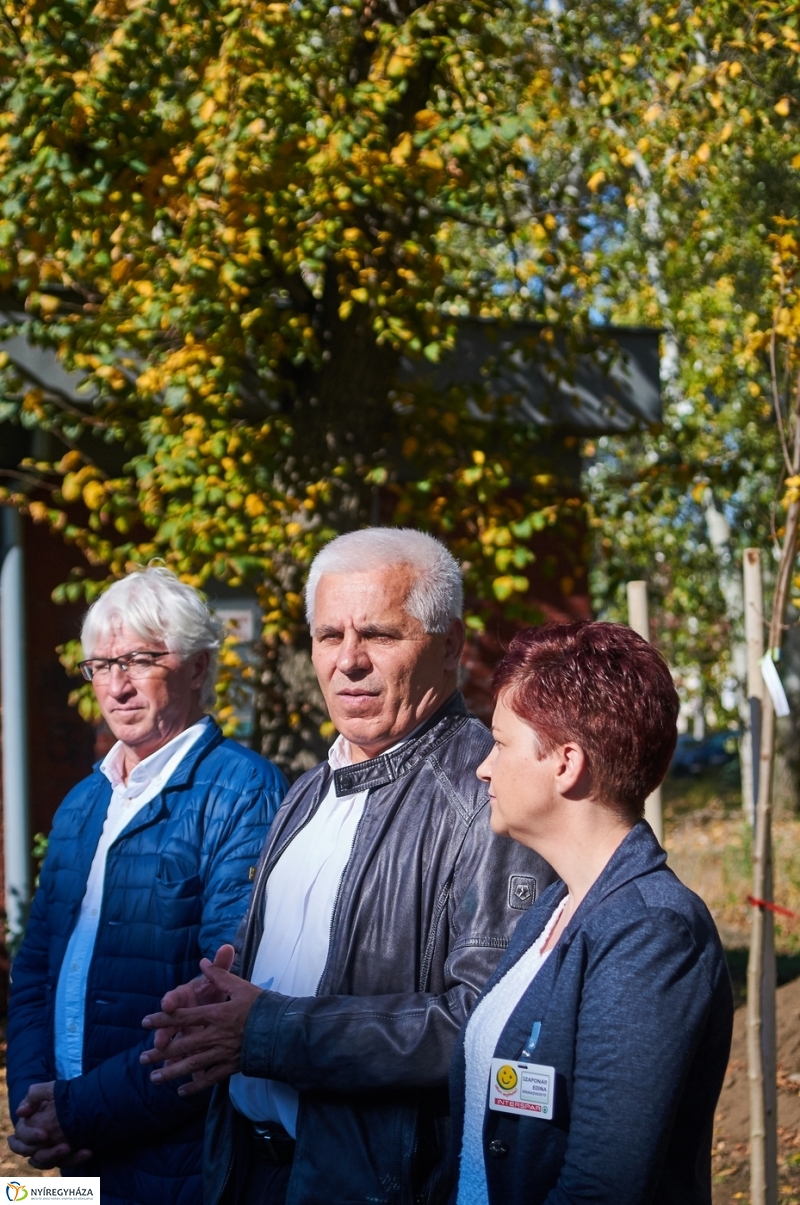 Fásítási program Nyíregyházán - fotó Szarka Lajos