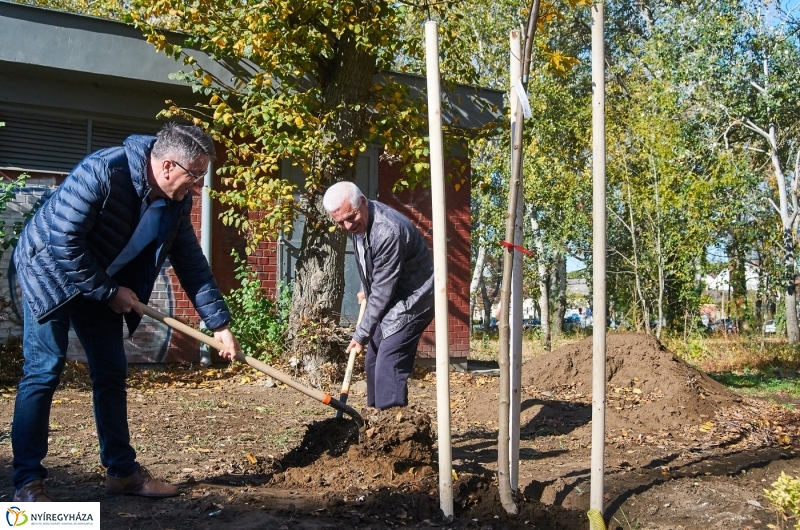 Fásítási program Nyíregyházán - fotó Szarka Lajos