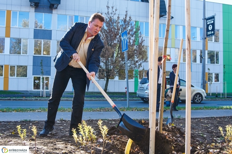 Fásítási program Nyíregyházán - fotó Szarka Lajos
