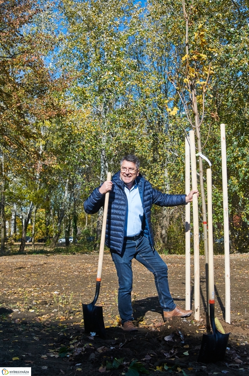 Fásítási program Nyíregyházán - fotó Szarka Lajos