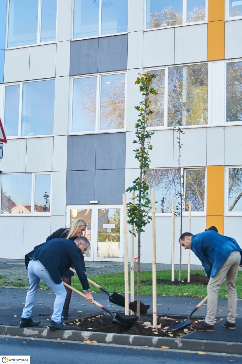 Fásítási program Nyíregyházán - fotó Szarka Lajos