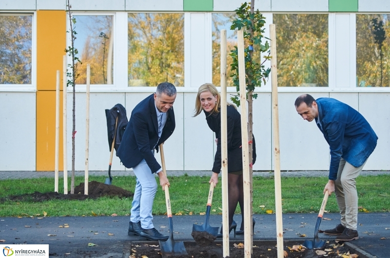 Fásítási program Nyíregyházán - fotó Szarka Lajos