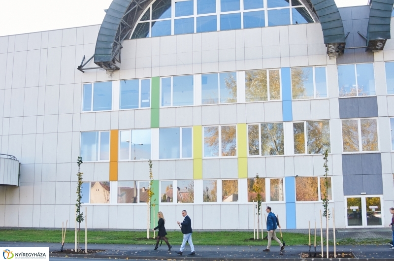 Fásítási program Nyíregyházán - fotó Szarka Lajos