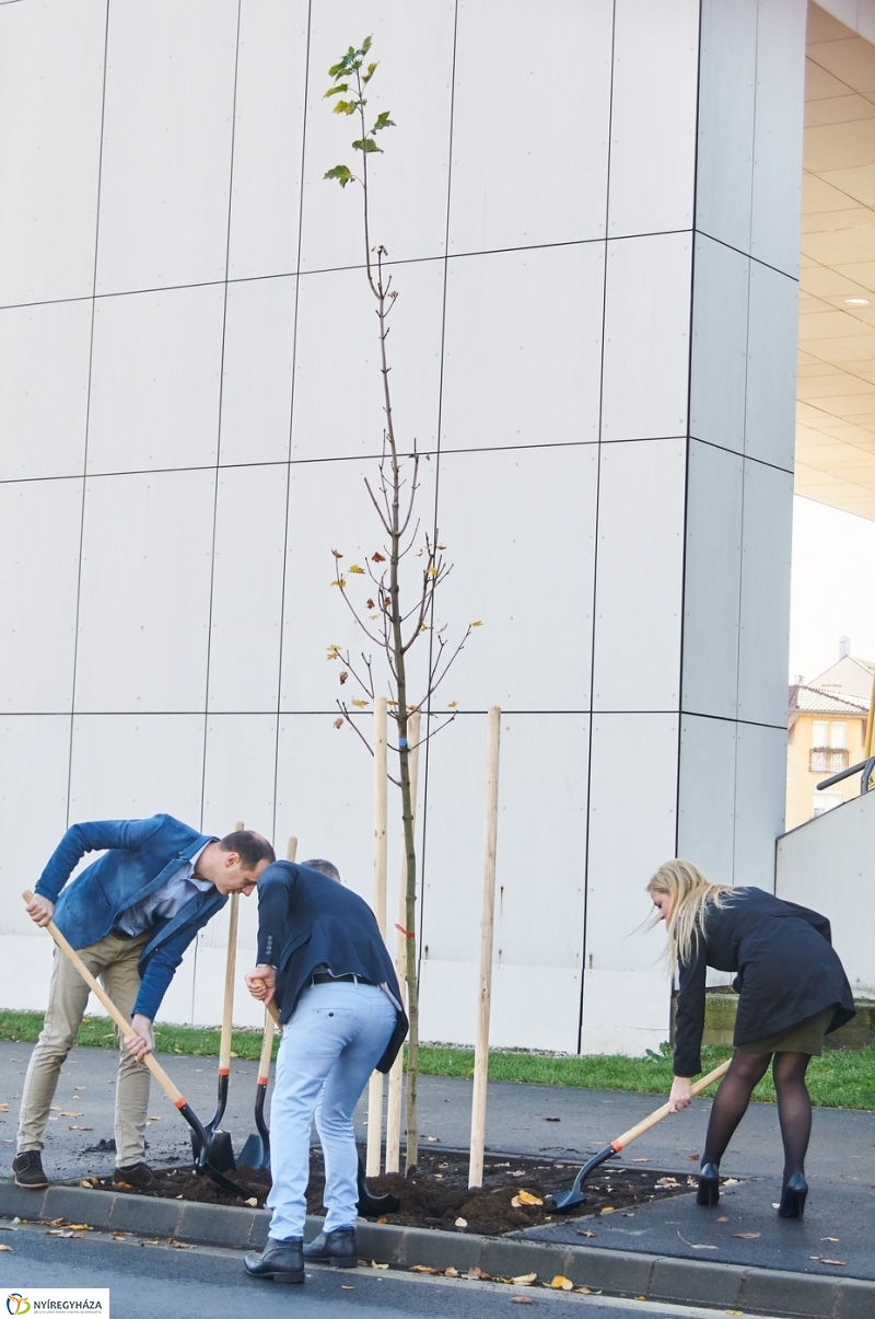 Fásítási program Nyíregyházán - fotó Szarka Lajos