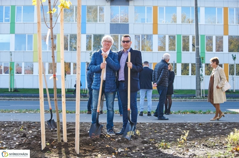 Fásítási program Nyíregyházán - fotó Szarka Lajos