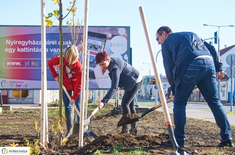 Fásítási program Nyíregyházán - fotó Szarka Lajos