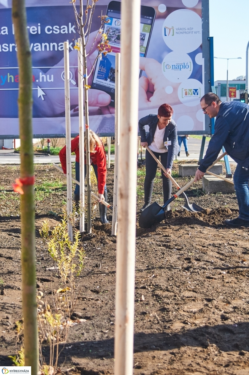 Fásítási program Nyíregyházán - fotó Szarka Lajos