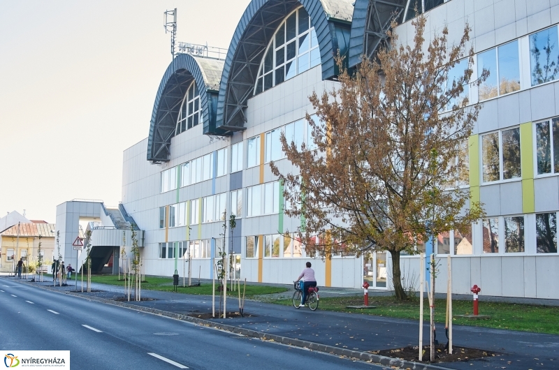 Fásítási program Nyíregyházán - fotó Szarka Lajos