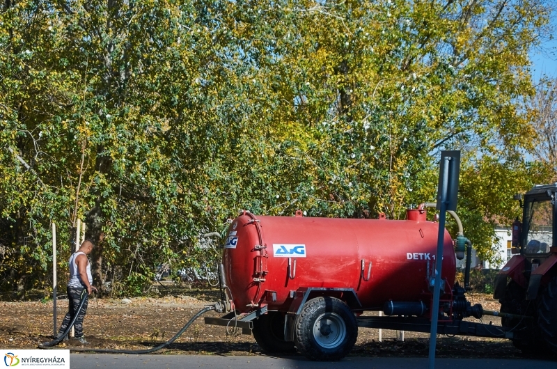Fásítási program Nyíregyházán - fotó Szarka Lajos