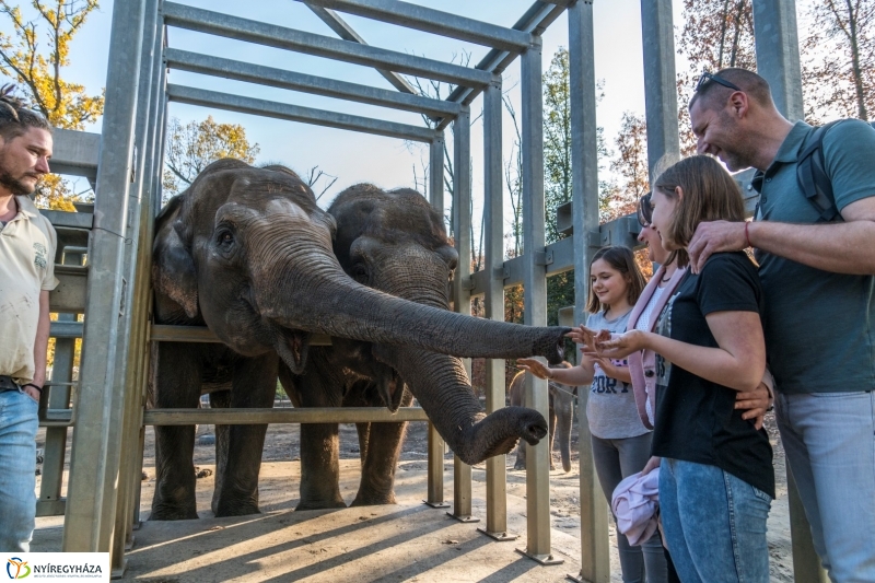 Megérkezett az 500.000. látogató a Nyíregyházi Állatparkba