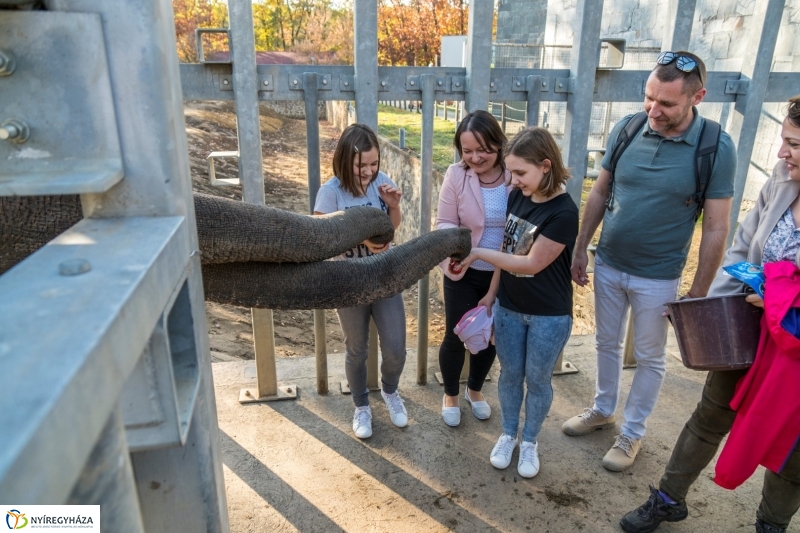 Megérkezett az 500.000. látogató a Nyíregyházi Állatparkba