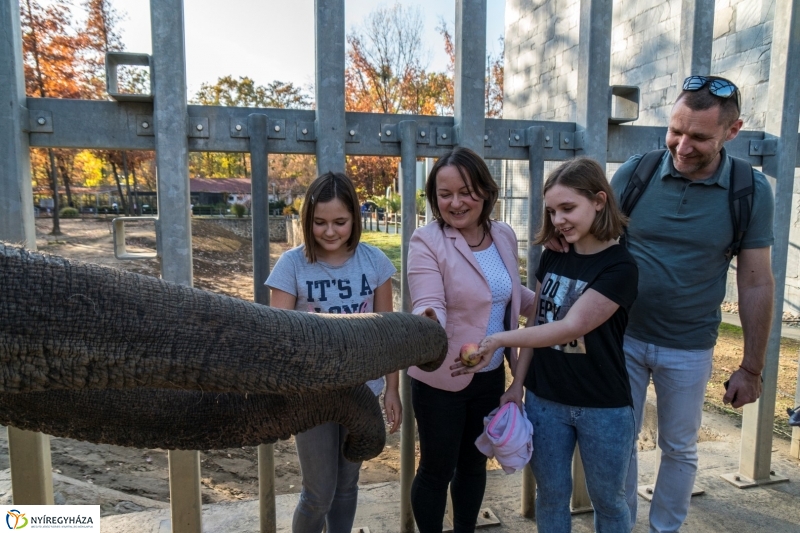 Megérkezett az 500.000. látogató a Nyíregyházi Állatparkba