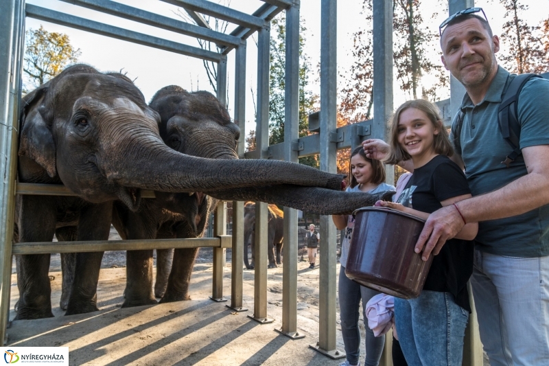 Megérkezett az 500.000. látogató a Nyíregyházi Állatparkba