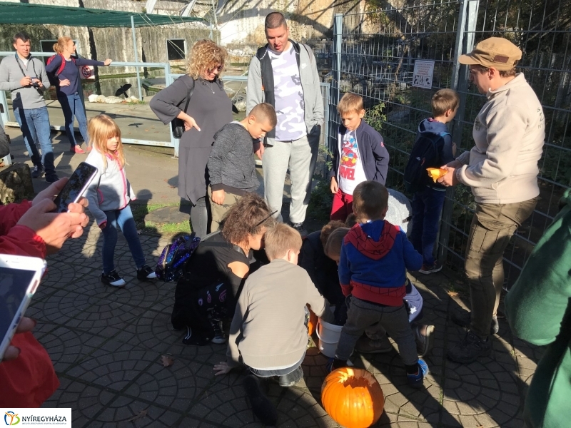 Halloween a Nyíregyházi Állatparkban