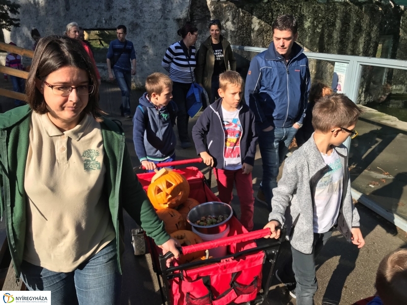Halloween a Nyíregyházi Állatparkban
