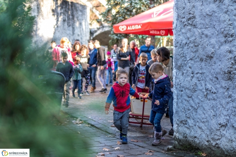 Halloween a Nyíregyházi Állatparkban