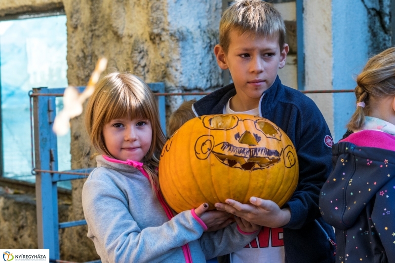 Halloween a Nyíregyházi Állatparkban