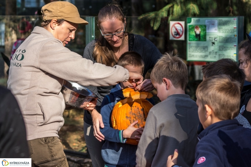 Halloween a Nyíregyházi Állatparkban