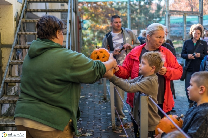 Halloween a Nyíregyházi Állatparkban