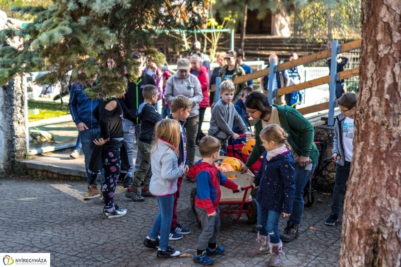 Halloween a Nyíregyházi Állatparkban