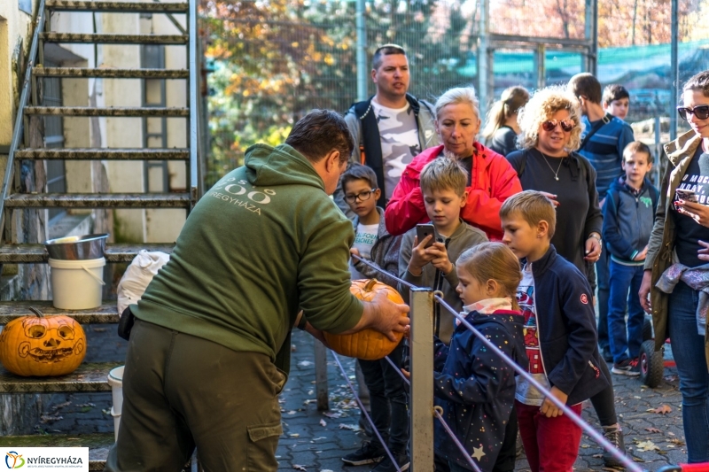 Halloween a Nyíregyházi Állatparkban