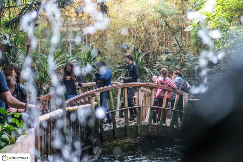 Hosszú hétvégén irány az Állatpark! - fotó Kohut Árpád