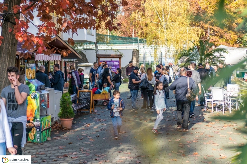 Hosszú hétvégén irány az Állatpark! - fotó Kohut Árpád